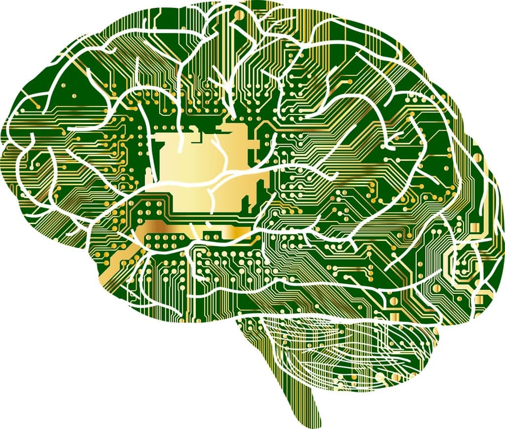 Découvrez les avantages des chatbots RH pour votre entreprise